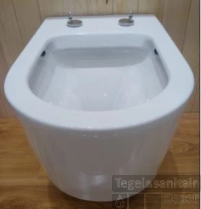 Hangtoilet Wiesbaden Flow Randloos Diepspoel EasyCleaning (incl. Zitting) - Afbeelding 2