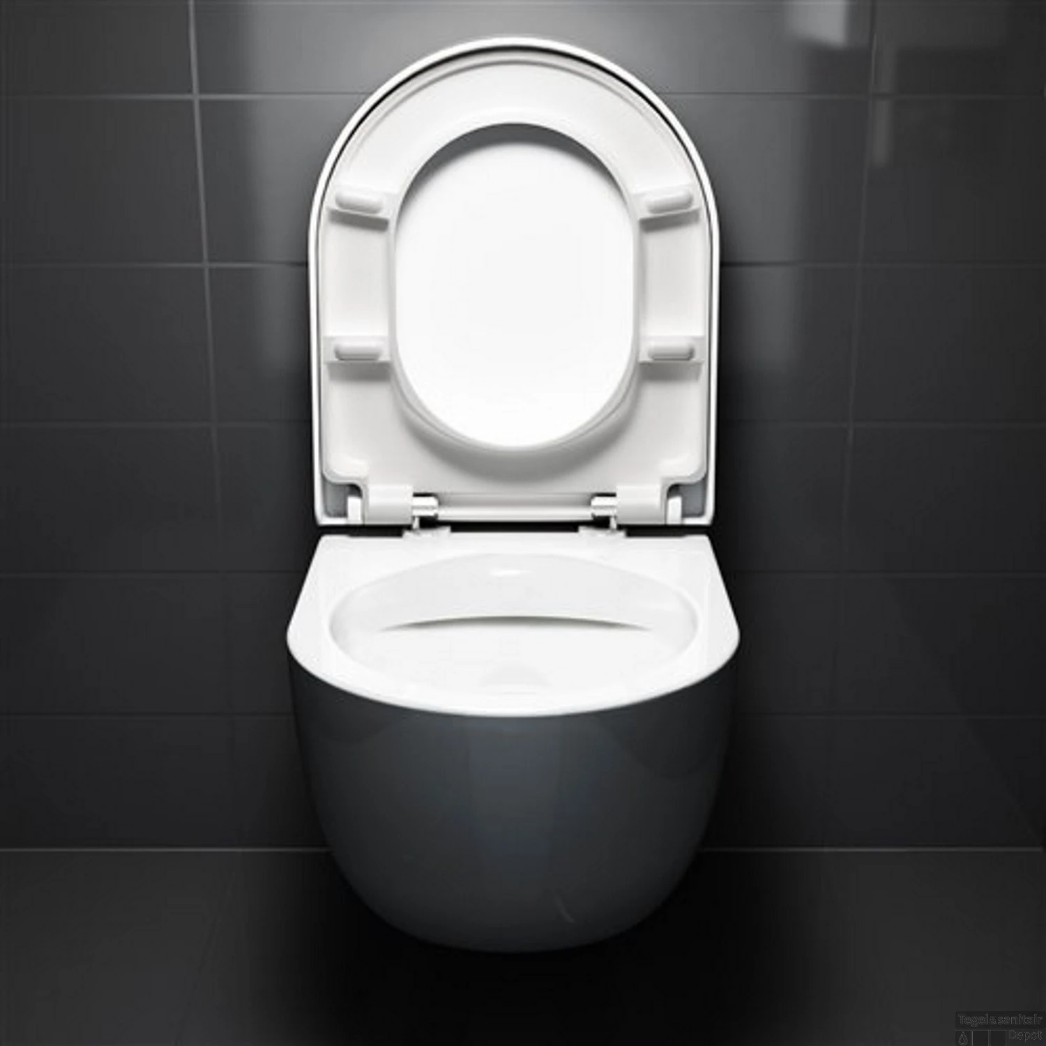 Toiletzitting Clou Hammock Met Deksel Wit (Met Soft-closing Systeem En Quick Release Systeem) - Afbeelding 2